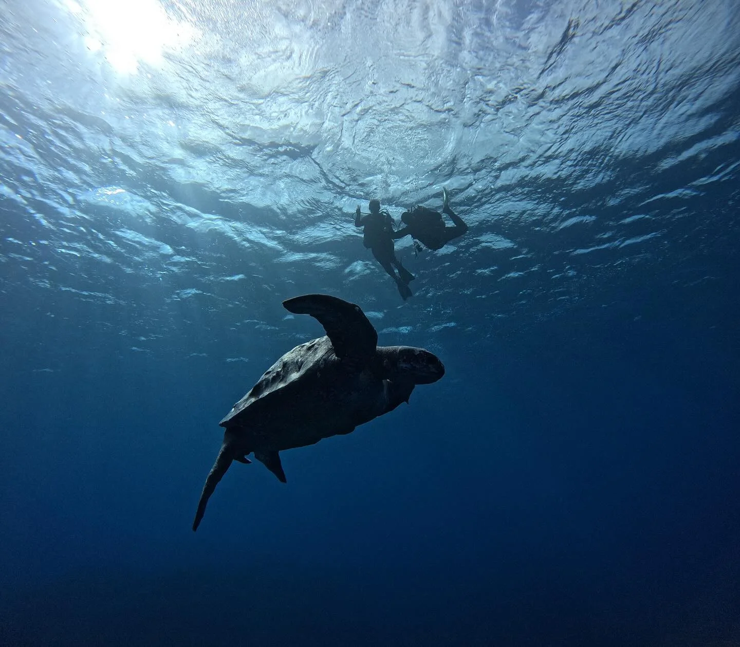 Buceo Middle